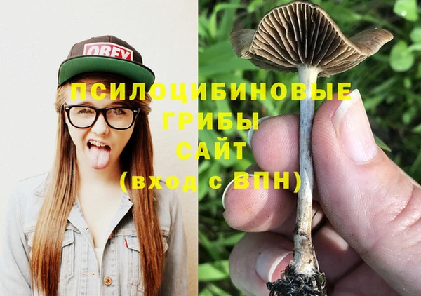 таблы Алзамай