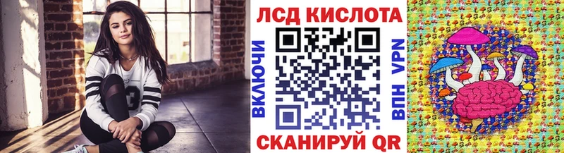 Марки N-bome 1,8мг ссылка на мегу онион Ачинск магазин продажи наркотиков