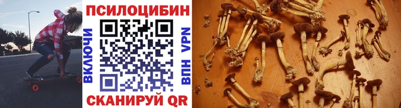 Псилоцибиновые грибы MAGIC MUSHROOMS  наркошоп  Ачинск 